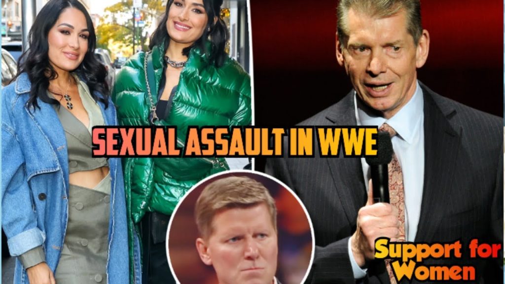 Wwe Stars Nikki And Brie Break Silence On Shocking Sexual Assault