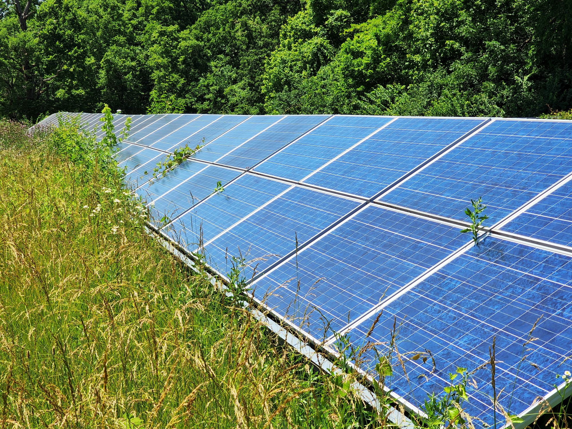 Oxford in a Dilemma Over Solar Farms: Will a Moratorium be the Solution? (Photo from: Journal News)