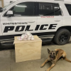 Pounds of Meth Was Found Hidden in Dog Treat Boxes During Traffic Stop- Found by California K-9 (Photo from: Fox 59)