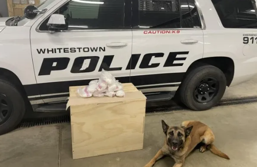 Pounds of Meth Was Found Hidden in Dog Treat Boxes During Traffic Stop- Found by California K-9 (Photo from: Fox 59)