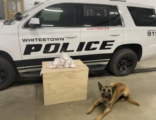 Pounds of Meth Was Found Hidden in Dog Treat Boxes During Traffic Stop- Found by California K-9 (Photo from: Fox 59)