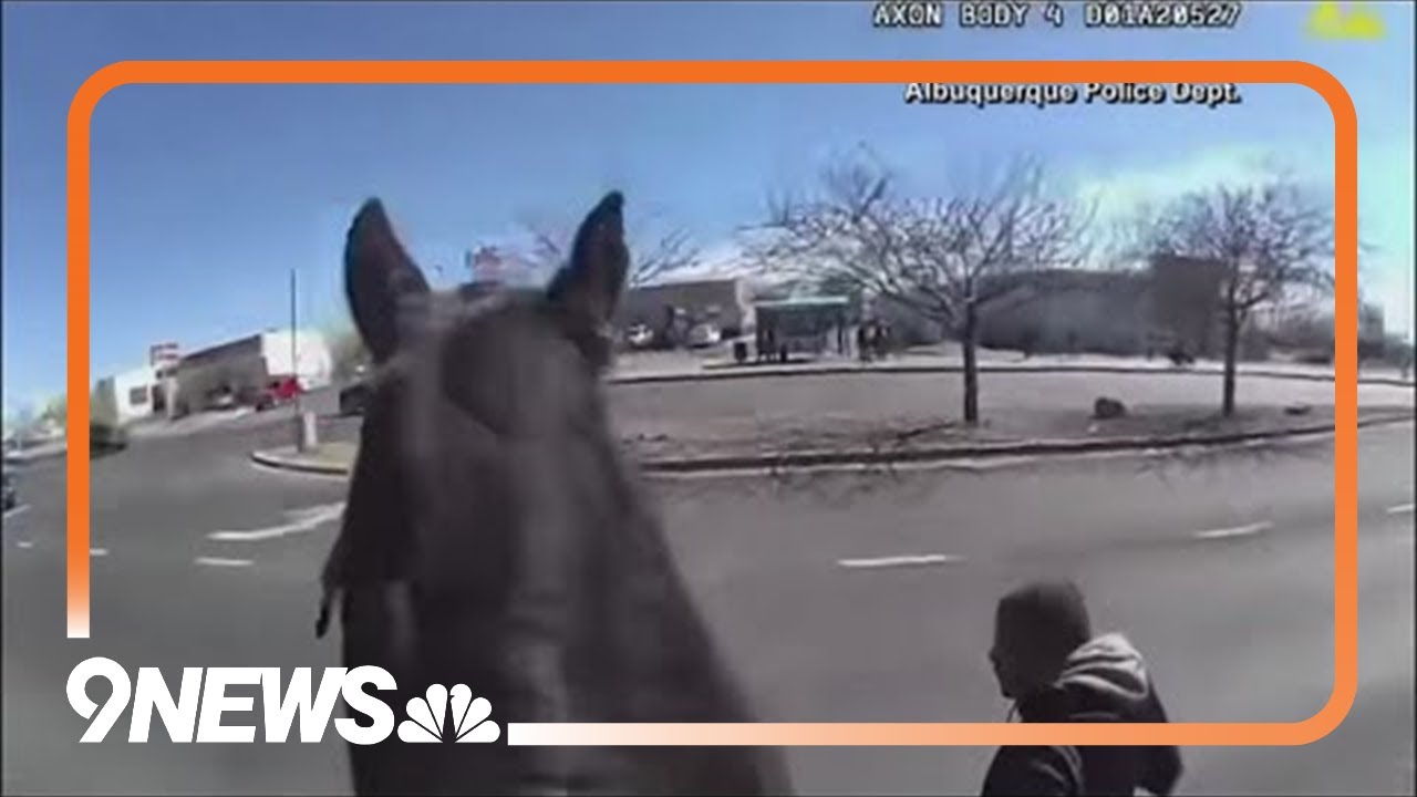 Albuquerque Police Used Their Four-Legged Friends To Chase A Shoplifter