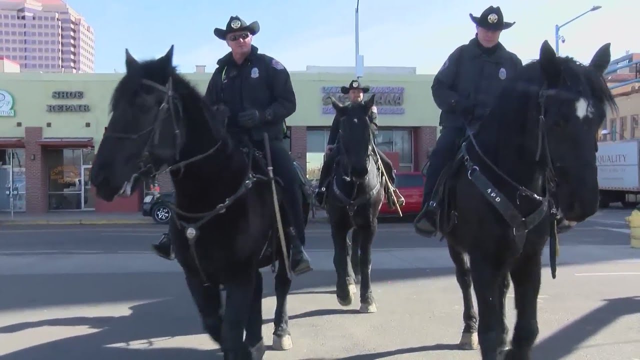 Albuquerque Police Used Their Four-Legged Friends To Chase A Shoplifter 