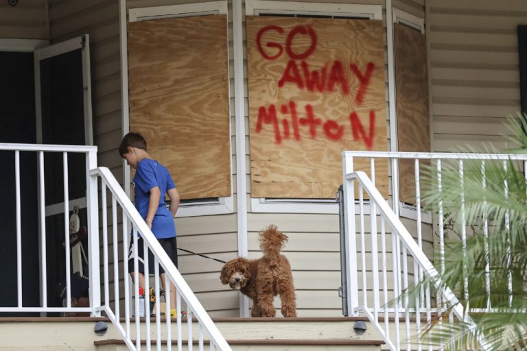 Man Charged With Abandoning Dog In Floodwaters As Florida Residents ...