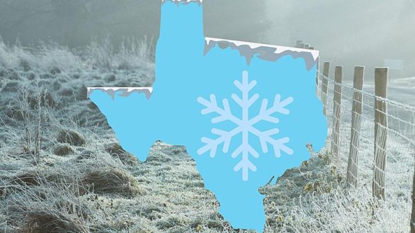 You Won’t Believe How Hot It’s Getting in Texas After This Deep Freeze