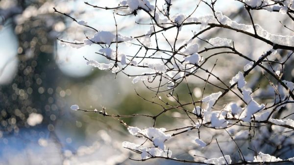 Whiteout Conditions Expected as Snow and High Winds Blast Montana Through Friday