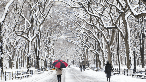 Looks Like Spring, Feels Like Winter – NYC’s Winds Will Keep It Cold Through Friday